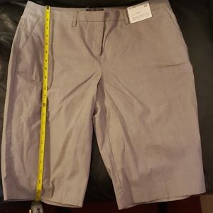 New York & Company Shorts